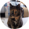 Birgit Formberg Avatar