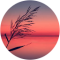 F. Hannemann Avatar